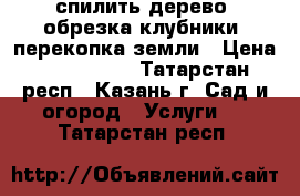спилить дерево, обрезка клубники, перекопка земли › Цена ­ 500-1000 - Татарстан респ., Казань г. Сад и огород » Услуги   . Татарстан респ.